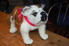 Gracie Standing